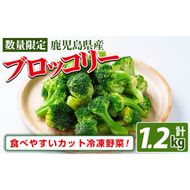 鹿児島県産 冷凍ブロッコリー(計1.2kg) a1-039