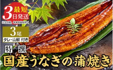 特選 国産うなぎ蒲焼き 3尾(120g以上×3尾) | メディアに紹介されたうなぎ屋 国産 冷蔵 うなぎ 鰻 ウナギ タレ・山椒つき かば焼き ※離島への配送不可