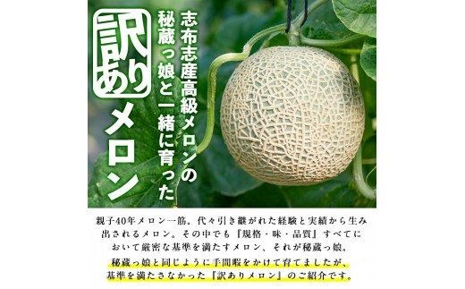 a0-169 【冬限定・数量限定】＜R6年11月下旬～12月末頃発送予定＞牧さんの訳ありメロン 赤玉(赤肉)1玉