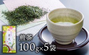 D4-02 お茶屋二代目みずからの名前を命名 代表銘茶「貴光」５本セット！