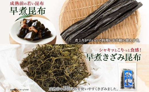 121-1926-41　北海道産 昆布 早煮昆布 250g×2袋 早煮きざみ昆布 50g×3袋 計650g 釧路 こんぶ おでん きざみ昆布 おかず コンブ 煮物 海藻 詰め合わせ 早煮 保存食 乾物 お取り寄せ 送料無料 北連物産 きたれん 北海道 釧路町