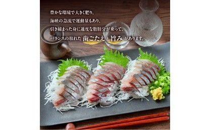 【E04022】関あじ・関いさき（鮮魚）セット（各1尾）