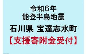 令和6年 能登半島地震 支援寄附金 100,000円 返礼品なし [石川県 宝達志水町 38600737] 災害支援 被災地支援