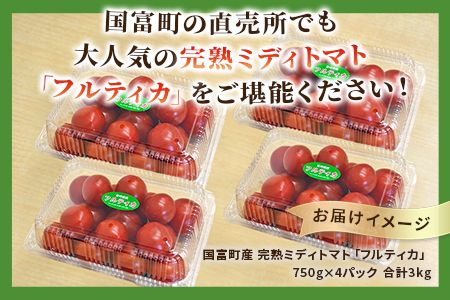 予約受付＜国富町産 完熟ミディトマト「フルティカ」3kg＞2025年1月上旬～5月下旬迄に順次出荷【 トマト 新鮮 野菜 先行予約 農家直送 季節物 数量限定 季節限定 サラダ 3キロ 】【a0728_sn】