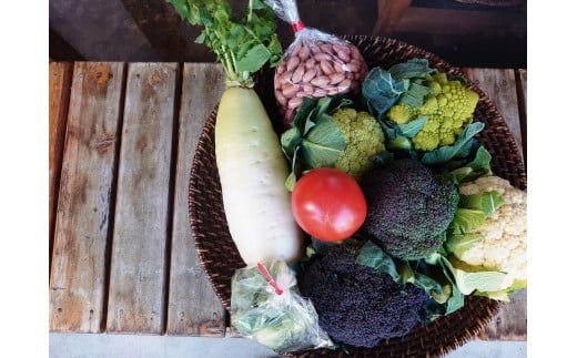 D116 　安心野菜ボックス