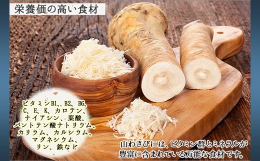 3166. 天然 山わさび 500g前後 産地直送 薬味 肉 BBQ バーベキュー 焼き肉 送料無料 北海道 弟子屈町