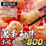 isa530 ≪毎月数量限定≫鹿児島産黒毛和牛ホルモン(合計800g・200g×4P)【財宝】