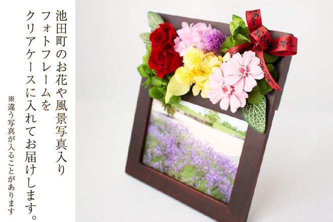 写真立て プリザーブドフラワー フォトフレーム ブラウン ケース入り [mirccamircca 長野県 池田町 48110589] 写真 フォト 思い出 記念日 花 フラワー インテリア 雑貨 手作り