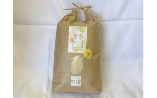 【令和7年度産】《新米》【11月下旬より順次発送予定】特別栽培米　奈良県広陵町産ヒノヒカリ　白米5kg// / ひのひかり ヒノヒカリ ブランド米 白米 ご飯 お米 大和米 おにぎり おむすび 安心 安全 美味しい 人気 直送 奈良県 広陵町