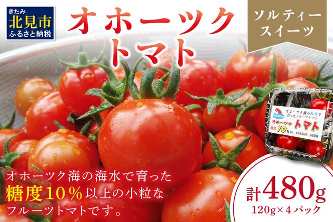 【予約：2024年7月上旬から順次発送】糖度10％以上！オホーツク海の海水でつくったソルティースイーツ オホーツクトマト ( トマト オホーツク海 海水 甘い とまと 野菜 )【172-0001】