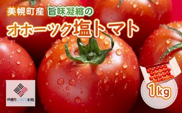 【先行受付】美幌町産・旨味凝縮のオホーツク塩トマト 約1kg BHRG006