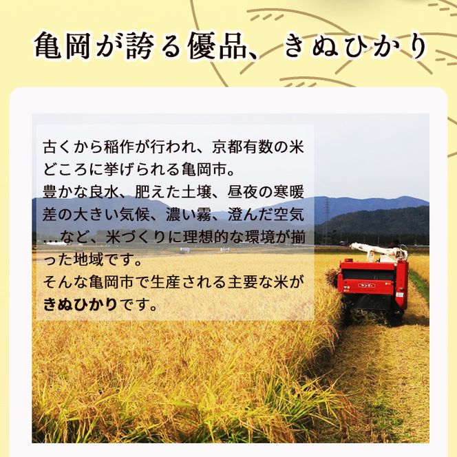 無洗米 10kg （2kg×5袋） 真空パック 京都丹波産 キヌヒカリ ※受注精米《米 白米 きぬひかり 10キロ 小分け ふるさと納税 無洗米 大嘗祭供納品種 亀岡そだち》 ※北海道・沖縄・その他離島への配送不可