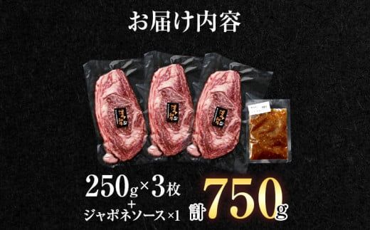 博多和牛　サーロインステーキ　750g