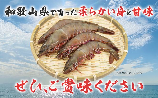 【先行予約】紀州和歌山産天然足赤えび 540g×2箱(270g×4パック) 化粧箱入 魚鶴商店《2025年11月上旬-2月上旬頃出荷》和歌山県 日高町 足赤えび えび エビ---wsh_fuot95_11j2j_25_35000_4p---