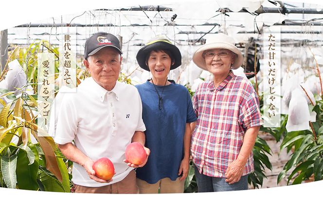 【先行受付】【2024年発送】南の果実園 完熟マンゴー 1kg（2～3玉）