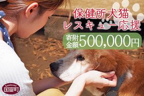  ＜保健所犬猫レスキュー【返礼品なしのご寄附】＞寄付金額500,000円※お礼状をお送りいたします。【a0626_in】