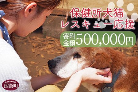 y{茧xzیLXL[yԗiȂ̂񕍁ztz500,000~肢܂Bya0626_inz