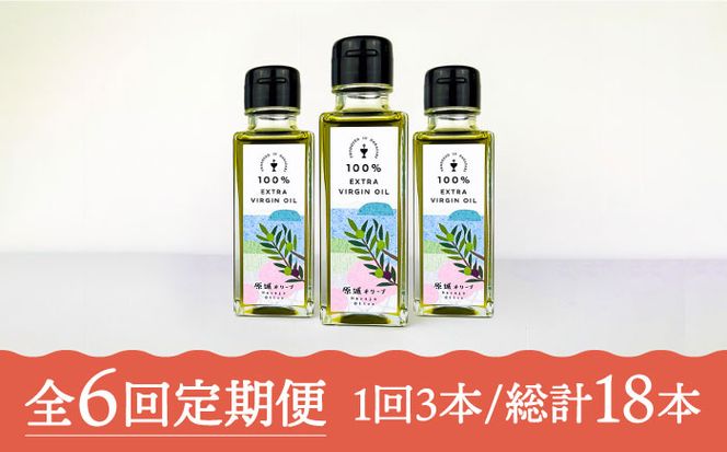 【6回定期便】 原城 オリーブ エクストラ・ヴァージンオイル 100ml 3本 / オリーブオイル オイル 油 調味料 / 南島原市 / ミナサポ [SCW058]