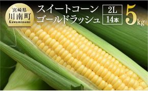 【令和8年発送】宮崎県産とうもろこし　朝どれ！守部さんちのゴールドラッシュ (2L)5kg 【 とうもろこし スイートコーン トウモロコシ スィートコーン 令和8年発送 】 [C06410]