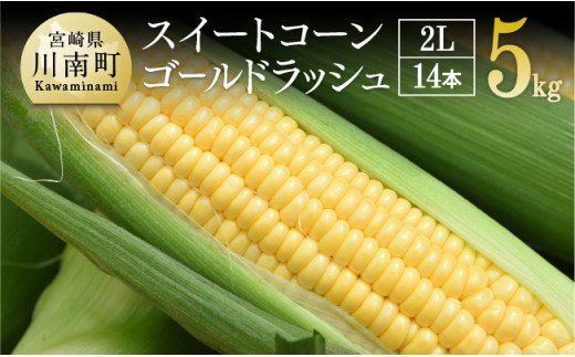 y{茧쒬zyߘa8Nz{茧YƂ낱@ǂI畔񂿂̃S[hbV (2L)5kg y Ƃ낱 XC[gR[ gERV XB[gR[ ߘa8N z [C06410]
