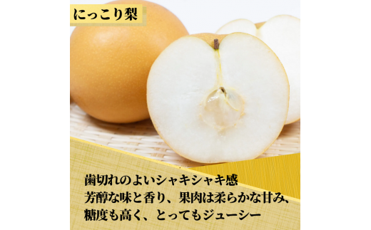 茨城県産【にっこり梨】約5kg【茨城県共通返礼品　かすみがうら市産】※2025年9月末～2026年1月下旬頃に順次発送予定 ※離島への配送不可
