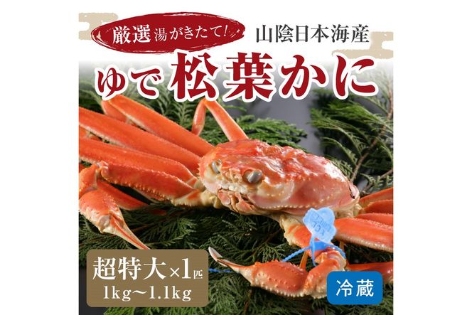 【11月発送】厳選湯がきたて！山陰日本海産ゆで松葉かに　1kg～1.1kg超特大サイズ/北畿水産　HK00191