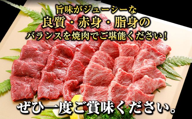 牛肉 くまもと黒毛和牛 焼肉用 500g 1000g 肉 黒毛和牛 焼肉 長洲501《30日以内に出荷予定(土日祝除く)》---sn_f501kwyk_30d_24_17500_500g---