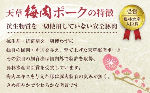 【定期便/2ヶ月に1回/計6回届く】 熊本県産 天草梅肉ポーク しゃぶしゃぶ用 750g×6回  冷凍