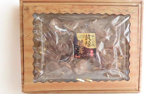 ycsző()ܓ80gI ő  VC^P  Y lC LO   v[g  Ε  cs  c eCNN16-V8-01