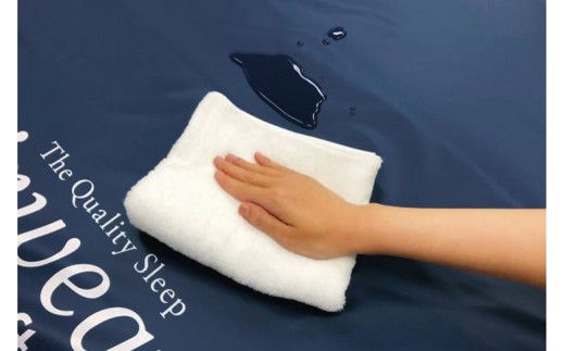 エアウィーヴ ウェルネスモデル マットレス M45-91RP