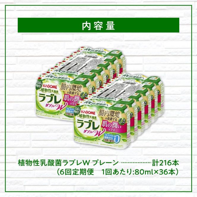 【6ヶ月定期便】植物性乳酸菌ラブレW　プレーン36本（計216本） [052S02-T]