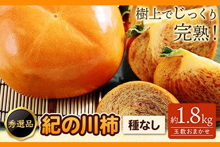 希少 紀の川柿 約1.8kg(種無し)[2026年先行予約]秀選品 厳選館 [2026年10月上旬-11月上旬頃出荷] 和歌山県 日高川町 柿 カキ かき ジューシー フルーツ---wshg_tmt250_10j11j_25_13000_2kg---