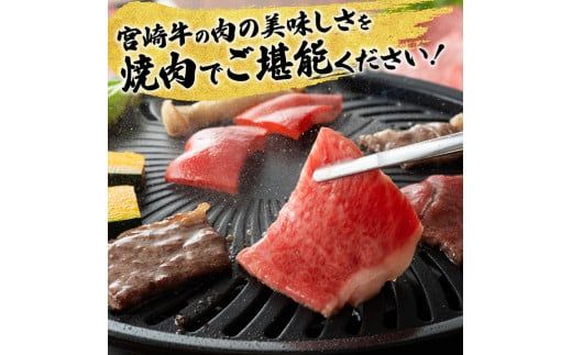 【6ヶ月定期便】 宮崎牛と宮崎県産鶏 月替わり便【肉 牛肉 鶏肉 国産 宮崎県産 宮崎牛 黒毛和牛 和牛 焼肉 BBQ すき焼き しゃぶしゃぶ 焼きしゃぶ 4等級  A4ランク 肩ロース ウデ モモ 鶏もも E11129】