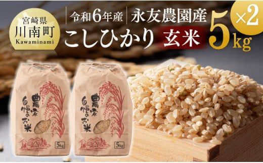 【令和6年産】永友農園産「こしひかり（玄米）」10kg（5kg×2袋）【 米 お米 精米 国産 宮崎県産 コシヒカリ 玄米 】[D10605]