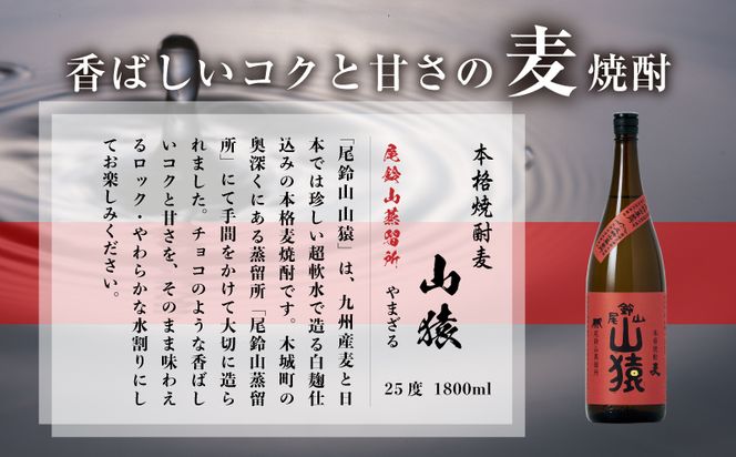 魔王2本組／本格焼酎 （芋焼酎】魔王 本格芋焼酎 白玉醸造 25度