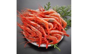 【漁師直送】北海道産 甘えび Mサイズ500g お刺身 唐揚げ 丼 味噌汁 寿司 冷凍 天ぷら 旬 海鮮 せたな町 ふるさと納税