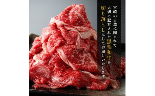 宮崎県産黒毛和牛切り落とし600g 【 肉 牛肉 宮崎牛 牛 炒め物 2パック 日本ハム 】 [E11009]