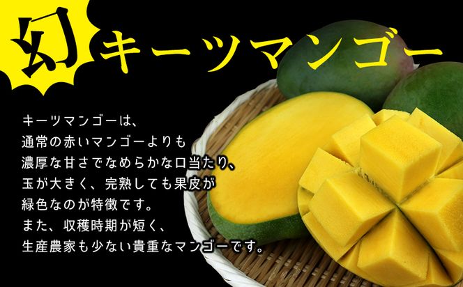 摘果マンゴー 約17キロ ※小さいの少なめ わか