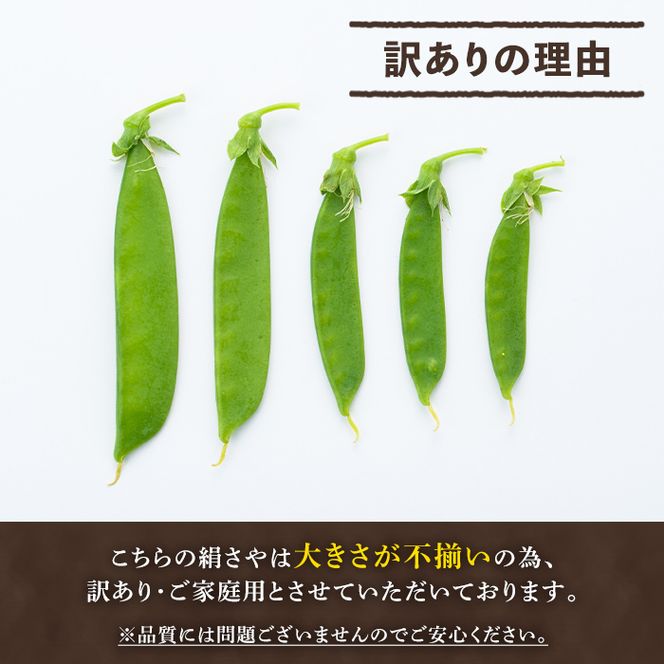 ＜先行予約受付中！2026年1月以降順次発送予定＞ご家庭用！訳あり！「絹さや」(1kg) 旬 国産 豆 マメ 絹さや 絹サヤ きぬさや 野菜 セット 詰め合わせ 訳アリ 数量限定 期間限定【黒坂青果】akn049-04