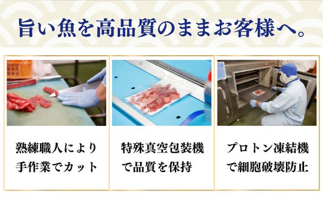  天然本まぐろ 大トロ 中トロ 赤身 《 食べ比べ 》【ぼっちりパック】 合計480g(60g×8パック )  天然まぐろ 本マグロ まぐろ マグロ 鮪 大とろ 中とろ 切り落とし 刺身 魚介類 海鮮 魚 海産物 魚貝 高知県 小分け 大とろ 簡単 調理 惣菜 訳あり 不揃い 冷凍 送料無料 室戸 mgr tk037