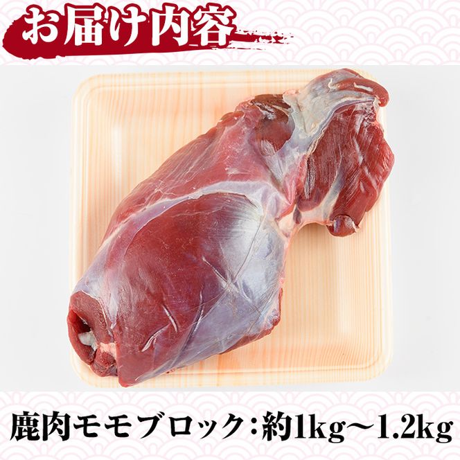 阿久根産鹿肉モモブロック(約1kg～1.2kg)煮込み料理 バーベキュー BBQ ブロック肉 ジビエ しか肉 【一般社団法人いかくら阿久根】a-13-12-z