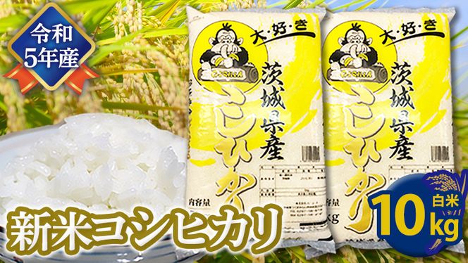 【令和5年産】 コシヒカリ 白米 10kg （5kg×2袋） こしひかり 米 お米 コメ おいしい 茨城県産 精米 国産 白米 [AO22-NT]