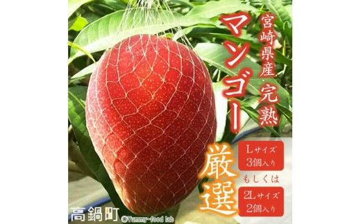 [宮崎県産 完熟マンゴー (Lサイズ 3個 もしくは 2Lサイズ 2個)] 2025年4月上旬〜9月下旬迄に順次出荷[c298_my_x6]