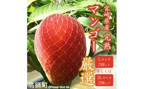 【先行予約】＜宮崎県産 完熟マンゴー(Lサイズ3個もしくは2Lサイズ2個)＞2026年4月上旬～9月上旬迄に順次出荷【c298_my_x7】