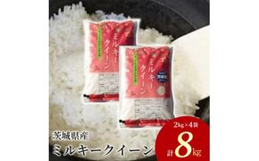 茨城県産 ミルキークイーン 精米8kg（2kg×4袋）｜ミルキークイーンは粘りが強くかつ柔らかいお米。冷めても美味しいもちもちなお米でお弁当にぴったり！ ※離島への配送不可　※2024年9月下旬～2025年8月上旬頃より順次発送予定