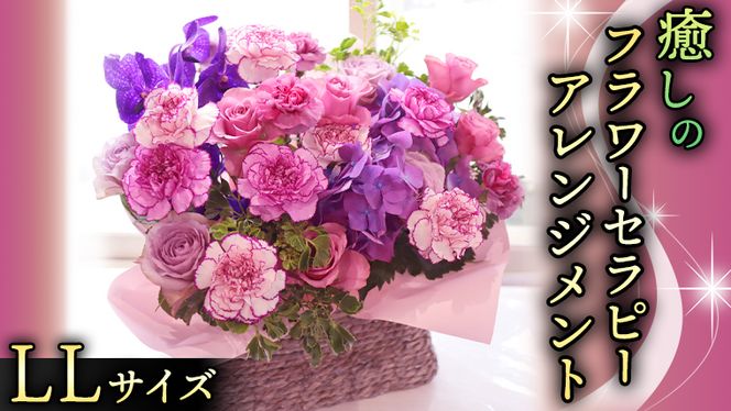 y錧}sz  t[ Zs[ AWg LLTCY   ͂ AW bNX tbV XgX [CT129ci]