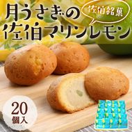 月うさぎの佐伯マリンレモン (計20個) レモン レモンケーキ スイーツ スウィーツ 菓子 焼き菓子 洋菓子 おやつ セット 個装 大分県 佐伯市【ER004】【(株)古川製菓】