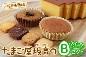 産みたて卵たっぷりスイーツ Bセット (カステラ／マドレーヌ／抹茶マドレーヌ／ミックスクッキー) 坂斉養鶏場 [0594]
