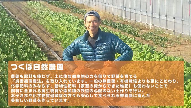 さつまいも ( 紅はるか ） 10kg 【 栽培期間中 / 農薬・肥料不使用 】土つき 高糖度 肥料不使用 自然栽培 スイーツ 焼き芋 天ぷら スイートポテト 秋 べにはるか 食物繊維