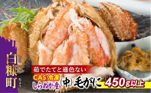 ykCfzʂY CASⓀTCYтɁy450gȏz